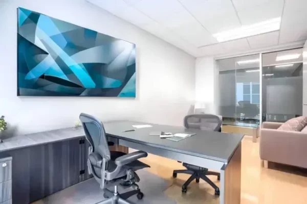 Single individual office with modern uinique art - comfortable ergonomic chairs and desk